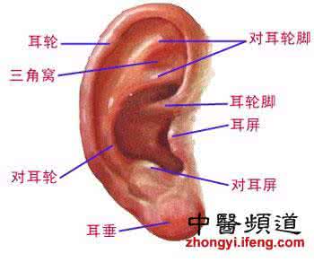 发烧按摩哪个部位退烧 坚持按摩这些部位，你还生病吗？