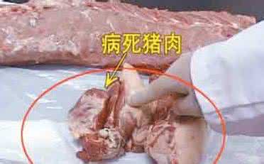 涉案的公安部副部长 公安部摧毁涉案超亿元大型制售病死猪肉犯罪网