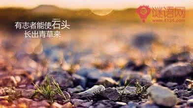 包容文章 励志文章:包容越多,得到越多