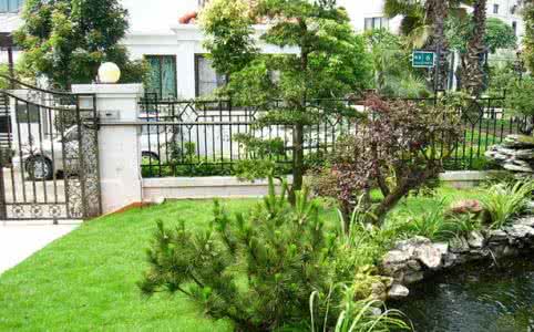 庭院风水植物有哪些 庭院植物风水 庭院风水植物有哪些