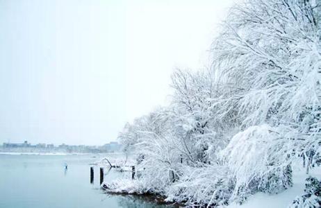 最美雪景 北京初雪 去哪看雪景 最美的初雪雪景和最应景的古诗都在这儿了！