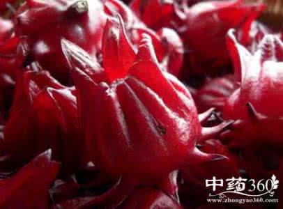洛神花的功效与禁忌 洛神花的功效与禁忌 【洛神花的功效与作用】洛神花有哪些功效作用及禁忌
