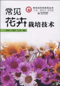 月季花栽培技术 鹏室花卉栽培技术丛书《月季》陈尚平 马鸿翔 刘晓青 编著 江苏科技出版社