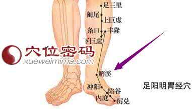 南京江宁解溪社区征收 【穴位诀窍】图荐《止咳穴位——解溪穴》可立即止咳!