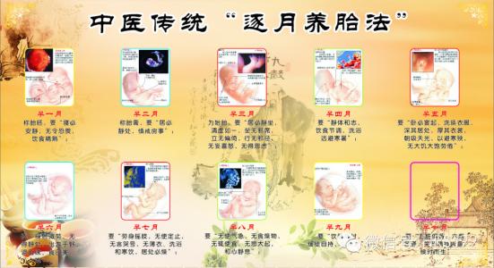 逐月养胎法 中医：孕妇逐月养胎法