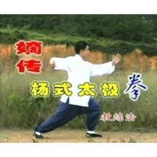 杨式太极拳85分解教学 嫡传85式杨式太极拳 1-33式分解教学 傅清泉