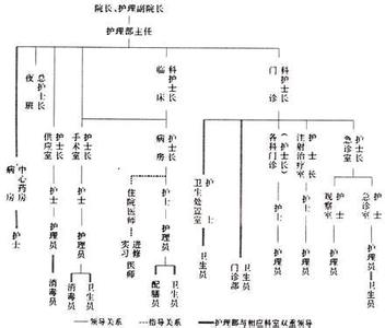 二甲医院人员配置标准 二甲医院人员配置标准 按照“二甲”医院人员配备标准