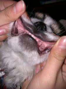 纷乱的意思 纷乱的意思是什么？