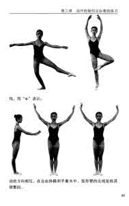 形体塑造 形体塑造 运动与形体塑造期末论文