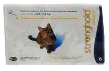 大宠爱幼猫 猫真菌大宠爱管用吗?