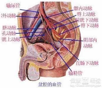 白带多腰痛是怎么回事 一般白带多会影响腰痛吗