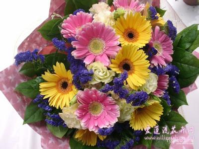 桃花代表什么寓意 各种花代表的寓意 【花的寓意】各种花代表了什么意思