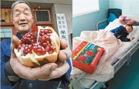 膀胱癌能吃生姜吗 膀胱癌可以吃石榴吗？