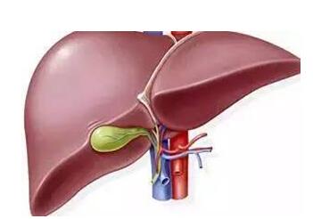 心脏排毒吃什么 怎么给心脏排毒？