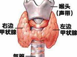 妊娠期甲亢 妊娠期甲亢 妊娠期甲亢可通过胎盘传播