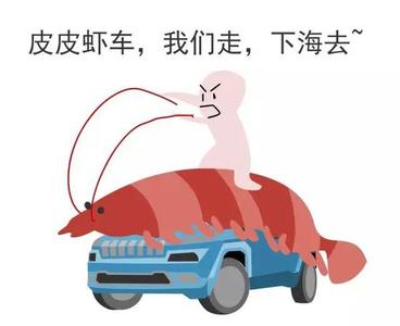 当你老了 走不动了 所有走不动,都是没买够