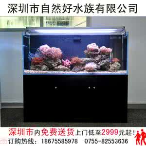 水族箱加热器 水族箱加热器的选购方法