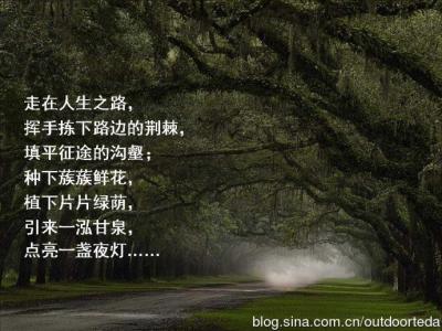 怎样走好人生之路 走好人生之路