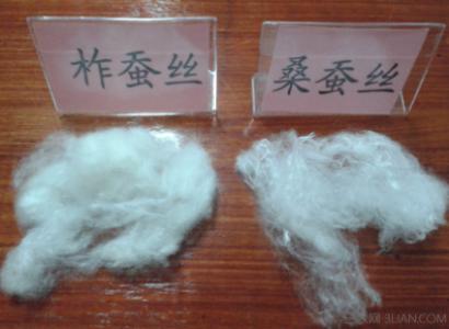 柞蚕丝和桑蚕丝哪个好 桑蚕丝与柞蚕丝的区别