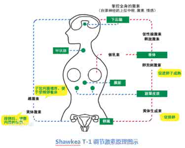 卵巢早衰中医原理 卵巢早衰 卵巢早衰 原理