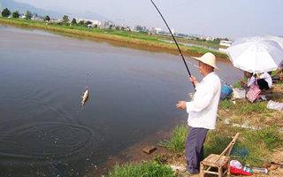 江河钓鱼用什么鱼竿好 江河垂钓技巧 江河钓鱼选择鱼竿的技巧和垂钓方法