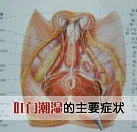 肛门潮湿是怎么回事 肛门潮湿 肛门潮湿是怎么回事