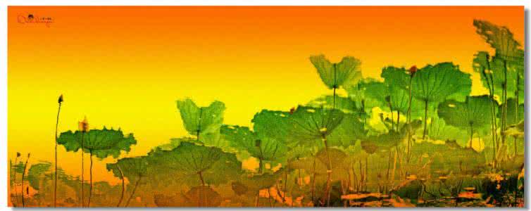 荷花颂 童丽 下载 【童丽歌曲欣赏】笑谈荷花共人语，烟波渺渺荡轻舟