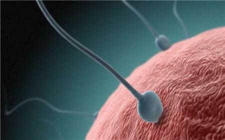 精子在室外能存活多久 精子在体内存活多久