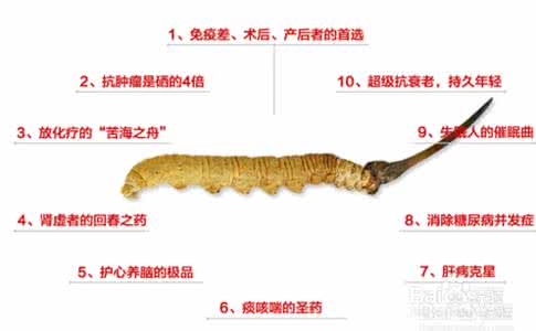 冬虫夏草的功效与作用 冬虫夏草作用食用方法 冬虫夏草的功效与作用-冬虫夏草的食用方法