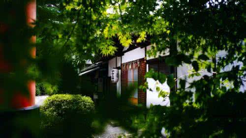 摄影中前景运用 前景怎么运用?