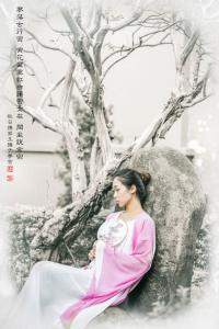 美人赋图片 美人赋