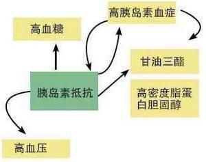 如何预防高血糖 高血糖的预防 8个调节可控血糖
