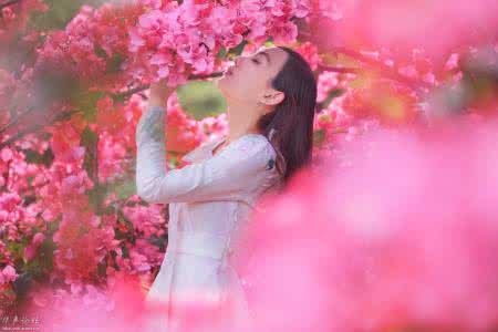 浅墨淡舞的博客 浅墨淡香,绘一笔情深意重