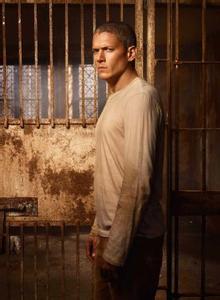 梦见与蛇搏斗赢了 在搏斗中输掉的，靠倾听赢了回来