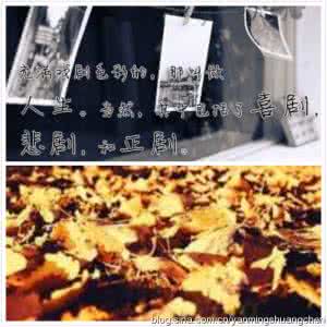 想想竹子开花就会死 多想想自己的错,就会慢慢忘记别人的过