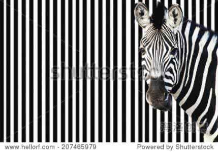 摩登条纹 必杀技 65㎡小两居，黑白条纹可谓摩登造型必杀技！