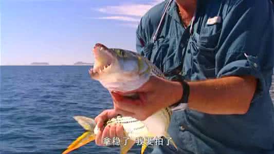 荒野垂钓 荒野垂钓：埃及