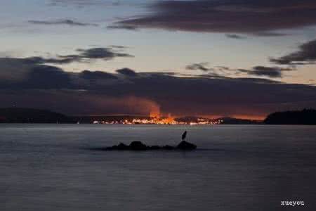 废旧书本裁剪切割 裁剪图片技巧 一招拉近废片与大片的距离