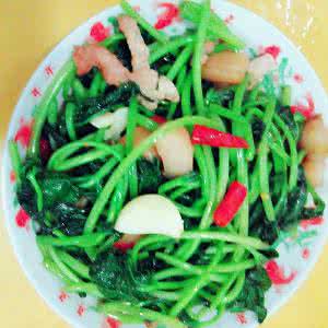 番薯叶和红薯叶的区别 番薯叶的做法 红薯叶的做法