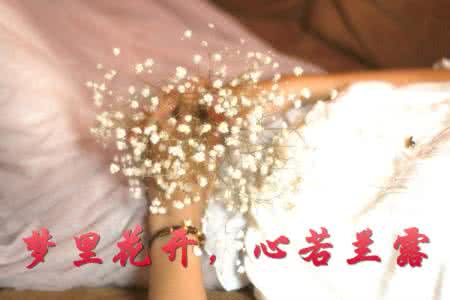 步步惊心若兰 梦里花开,心若兰露