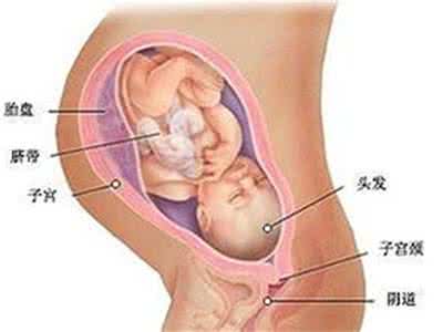 宝宝入盆后的胎动位置 入盆后胎动是怎样的