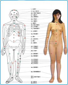 艾灸治疗过程中这个穴位用的次数比较多，但大多数人都找错了位置