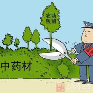 湖南省招标投标监管网 中药材生产监管“无标可依”亟需破解