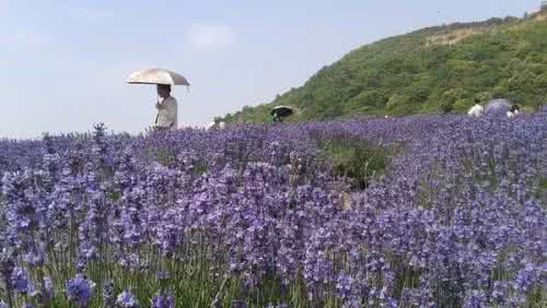 这辈子你是什么命 你记住什么，这辈子就有什么