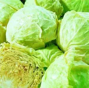 天然钙片生男孩可信度 卷心菜——天然钙片