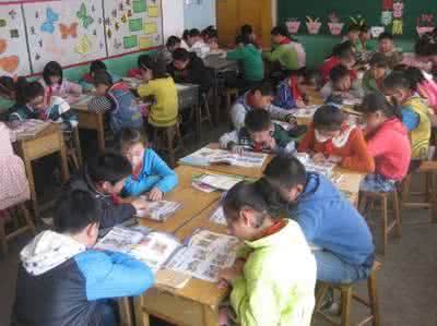 小学综合实践活动小组合作学习实效性初探