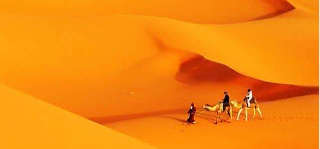 血管堵住 危急時如何疏通堵住的血管