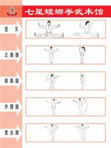 七星螳螂拳崩步拳谱 七星螳螂拳拳功体系