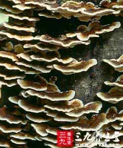 十大特效祖传秘方 无肝炎村的特效肝炎秘方