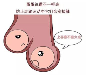 外国男生丁丁图片欣赏 关于一根丁丁的自白（男生都不知道）